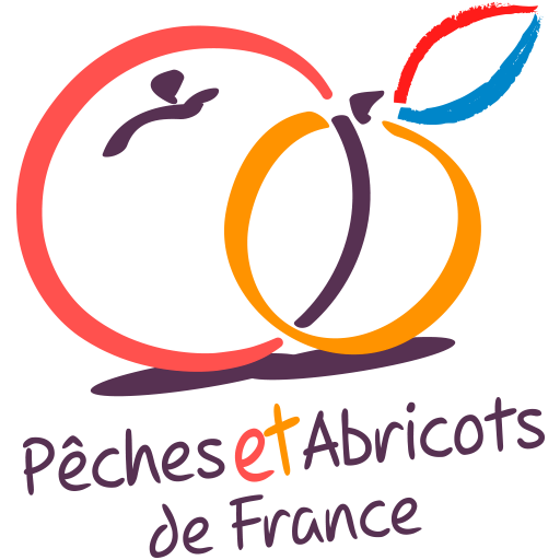 Peches-et-abricots-de-france